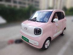 FAW Besturn Xiaoma 170km Vitality Edition - ფოტო 2