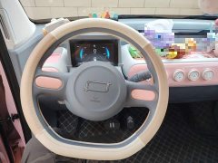 FAW Besturn Xiaoma 170km Vitality Edition - ფოტო 3
