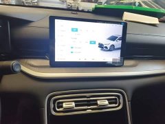 Geely Galaxy Xingyao 6 125km Carefree Edition - ფოტო 9
