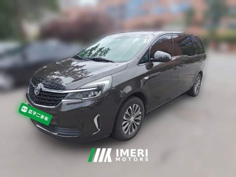 2021 Buick GL8 Land Business Class 652T Comfort - ავტომობილი ჩინეთიდან