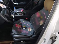 Chery Explorer 06 2023 Yueye Edition 1.6T AWD Tanjing - ფოტო 15