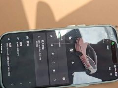 Tesla Model 3 2023 Rear-Wheel Drive - ფოტო 12
