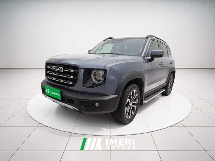 Great Wall Dachshund 1.5T DCT Two-Wheel Drive Border Collie Edition - ავტომობილი ჩინეთიდან
