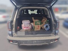 Great Wall Dachshund 1.5T DCT Two-Wheel Drive Border Collie Edition - ფოტო 10