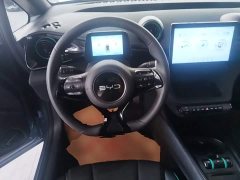 BYD Dolphin 405km Freedom Edition - ფოტო 15