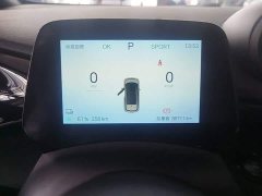 BYD Dolphin 405km Freedom Edition - ფოტო 16