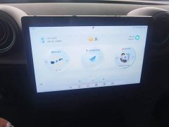 BYD Dolphin 405km Freedom Edition - ფოტო 18