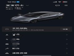 Tesla Model 3 2022 Rear-Wheel Drive - ფოტო 12