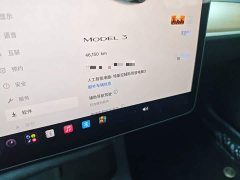 Tesla Model 3 2022 Rear-Wheel Drive - ფოტო 5