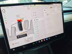 Tesla Model 3 2022 Rear-Wheel Drive - ფოტო 6