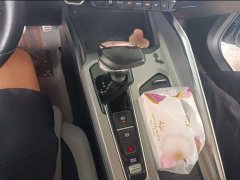Geely Xingrui Facelift 2.0T Diesel Premium - ფოტო 14