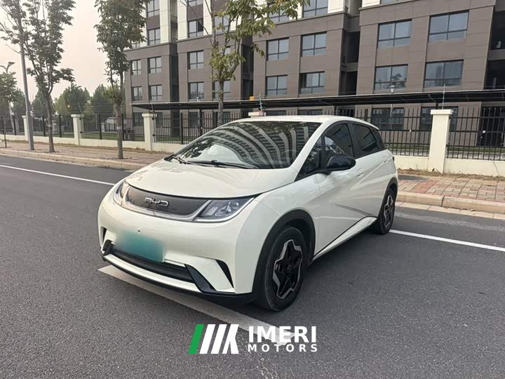BYD Dolphin 405km Freedom Edition - ავტომობილი ჩინეთიდან
