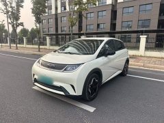 BYD Dolphin 405km Freedom Edition - ფოტო 1