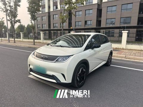 2022 BYD Dolphin 405km Freedom Edition - ავტომობილი ჩინეთიდან