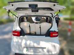Wuling Hongguang MINIEV 2020 Zizai Edition LFP Battery - ფოტო 10
