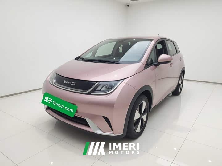 BYD Dolphin 2023 420km Freedom Edition - ავტომობილი ჩინეთიდან