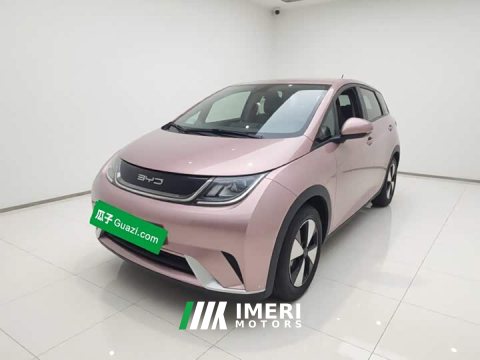 2024 BYD Dolphin 2023 420km Freedom Edition - ავტომობილი ჩინეთიდან