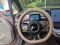 BYD Dolphin 2023 420km Freedom Edition - ფოტო 13