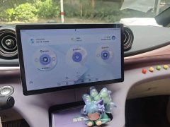 BYD Dolphin 2023 420km Freedom Edition - ფოტო 14