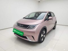 BYD Dolphin 2023 420km Freedom Edition - ფოტო 2