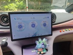 BYD Dolphin 2023 420km Freedom Edition - ფოტო 6