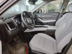 Nissan Qashqai 2023 e-POWER Hybrid Dual Motor AWD Luxury Edition - ფოტო 11