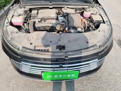 BYD Destroyer 05 Glory Edition DM-i 55KM Luxury - ფოტო 11