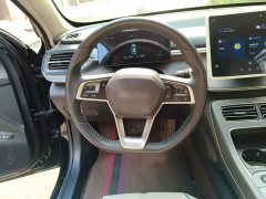 BYD Destroyer 05 Glory Edition DM-i 55KM Luxury - ფოტო 3