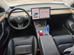 Tesla Model 3 Standard Range RWD Upgrade 3D6 - ფოტო 6