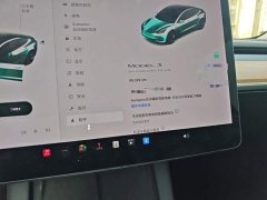 Tesla Model 3 Standard Range RWD Upgrade 3D6 - ფოტო 8