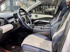 BYD Yuan Plus 430KM Premium Edition - ფოტო 16