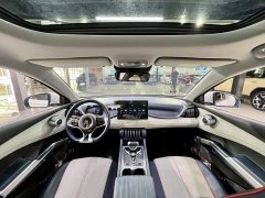 BYD Yuan Plus 430KM Premium Edition - ფოტო 18