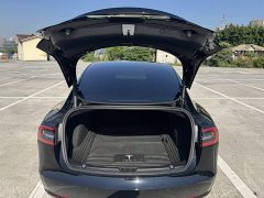 Tesla Model 3 2021 Standard Range RWD Upgrade 3D6 - ფოტო 12