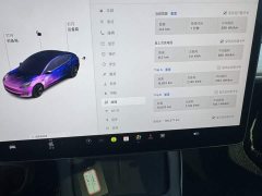 Tesla Model 3 2021 Standard Range RWD Upgrade 3D6 - ფოტო 5