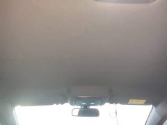 BYD Qin PLUS DM-i Smart Drive Edition 55KM Leading - ფოტო 9