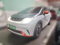 BYD Dolphin 405km Freedom Edition - ფოტო 1
