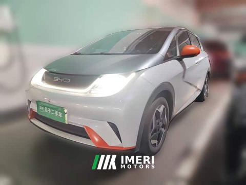 2021 BYD Dolphin 405km Freedom Edition