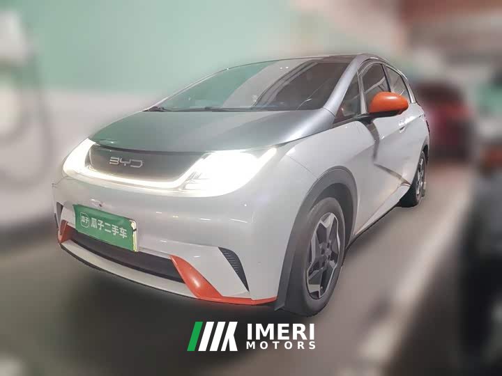 BYD Dolphin 405km Freedom Edition