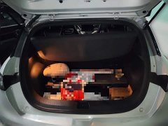 BYD Dolphin 405km Freedom Edition - ფოტო 10