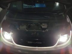 BYD Dolphin 405km Freedom Edition - ფოტო 11