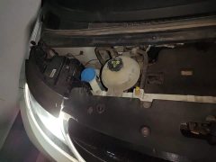 BYD Dolphin 405km Freedom Edition - ფოტო 19