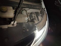 BYD Dolphin 405km Freedom Edition - ფოტო 20