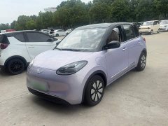 Wuling Binguo 333km Joy Edition - ფოტო 2