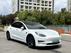 Tesla Model 3 Standard Range RWD Upgrade - ფოტო 13