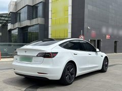 Tesla Model 3 Standard Range RWD Upgrade - ფოტო 14