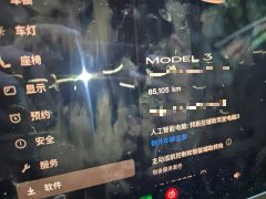 Tesla Model 3 Standard Range RWD Upgrade - ფოტო 5