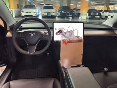 Tesla Model 3 2022 Rear-Wheel Drive - ფოტო 6
