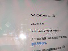 Tesla Model 3 2022 Rear-Wheel Drive - ფოტო 9