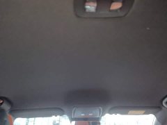 BYD Dolphin 06 DM-i Smart Drive Edition 80KM Luxury - ფოტო 9