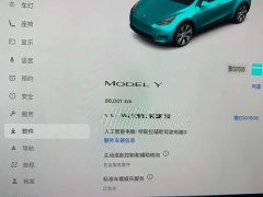 Tesla Model Y Rear-Wheel Drive - ფოტო 3